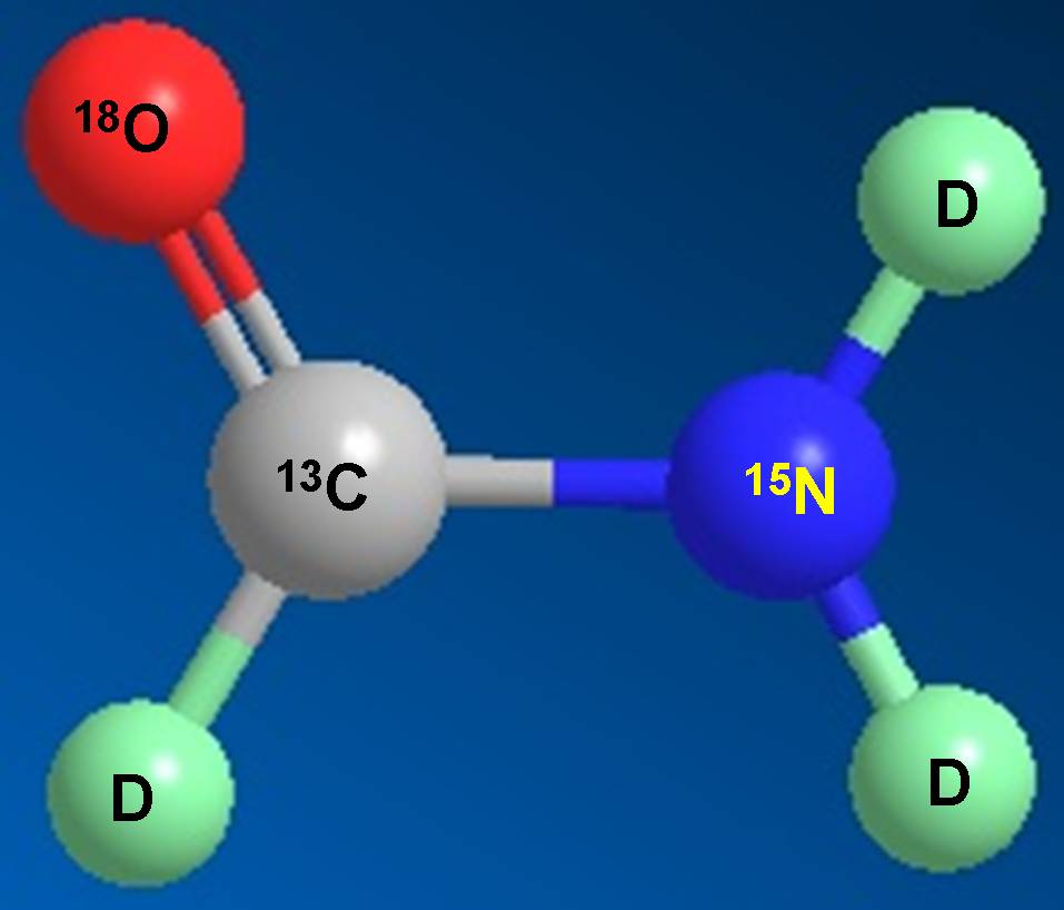 和记H88科研人员受邀担任同位素技术互换培训会讲师