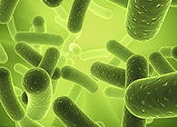 和记H88将参与2013年欧洲生物春季展会