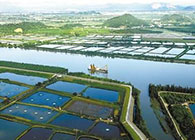 汪博士受邀至珠海市水产钻研所进行学术互换