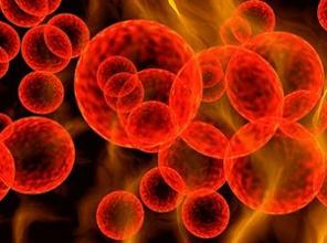 微生物起源药物造备工艺钻研中质量节造身分会商