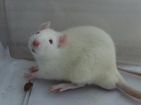 首页| 和记H88集团怡情博娱官网