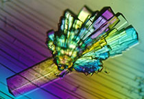 和记H88副总裁金晓玮博士等一行出席了在上海进行的中国科学技术大学堂友会沙龙