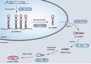 首页| 和记H88集团怡情博娱官网