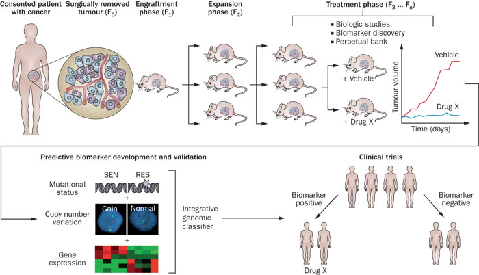 首页| 和记H88集团怡情博娱官网