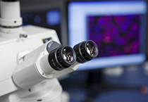 首页| 和记H88集团怡情博娱官网