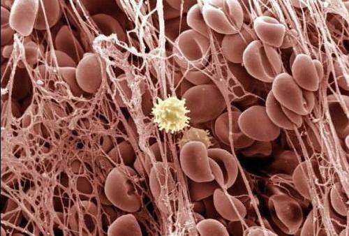 首页| 和记H88集团怡情博娱官网