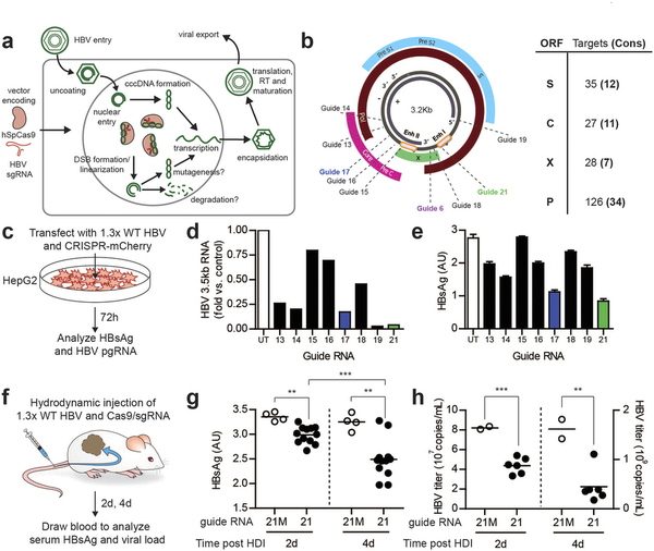 首页| 和记H88集团怡情博娱官网