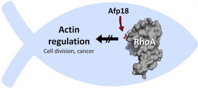 首页| 和记H88集团怡情博娱官网