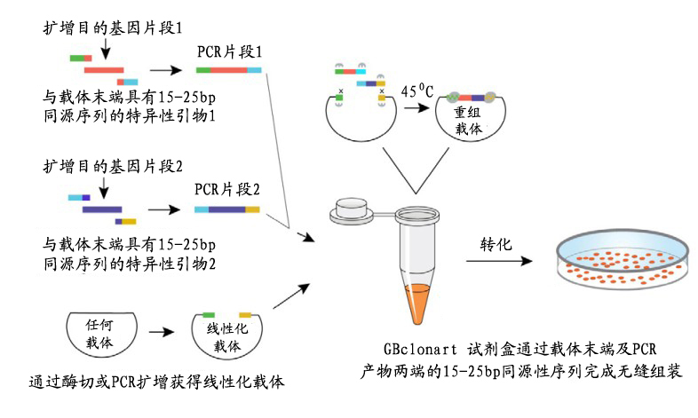 首页| 和记H88集团怡情博娱官网
