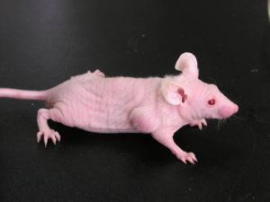 首页| 和记H88集团怡情博娱官网