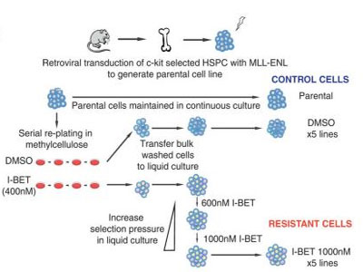 首页| 和记H88集团怡情博娱官网