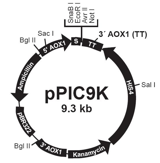 首页| 和记H88集团怡情博娱官网