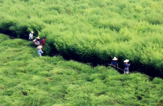 首页| 和记H88集团怡情博娱官网