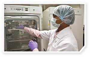 药物临床前钻研的内容