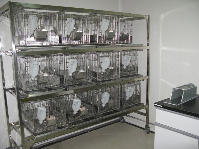 和记H88普亚新动物房通过上海动管会验收