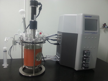 和记H88的生物药（抗体）尝试室即将投入使用