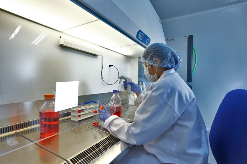 2015年药品特殊审评数据分析：哪些新药搭上了快车？