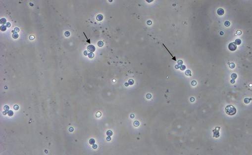 首页| 和记H88集团怡情博娱官网