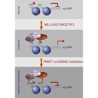 首页| 和记H88集团怡情博娱官网