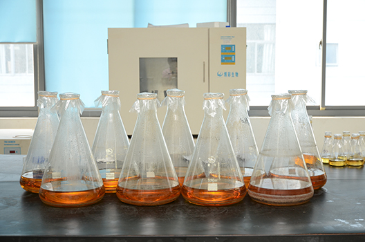 和记H88造剂中心GMP中试车间落成