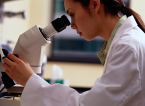 仿造药一致性评价