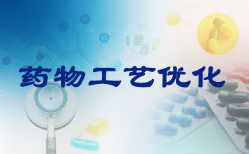 和记H88造药工艺优化服务