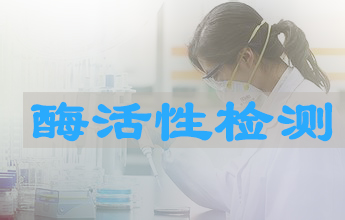 和记H88酶活性测定服务