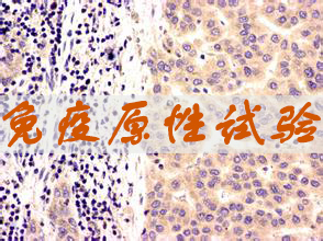 和记H88免疫原性试验服务