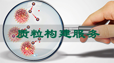 和记H88质粒构建服务