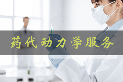 和记H88药代动力学服务
