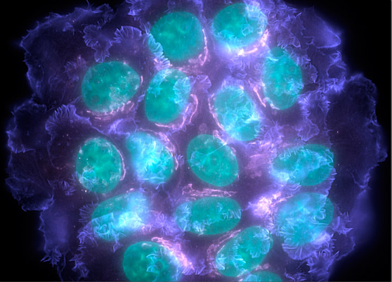 首页| 和记H88集团怡情博娱官网