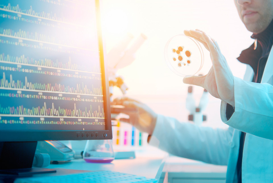 PD-1/IDO组合注册试验起头，首个幼分子IO药物进入三期临床