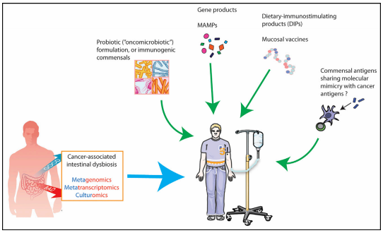 首页| 和记H88集团怡情博娱官网