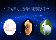 和记H88的生殖毒性钻研服务平台