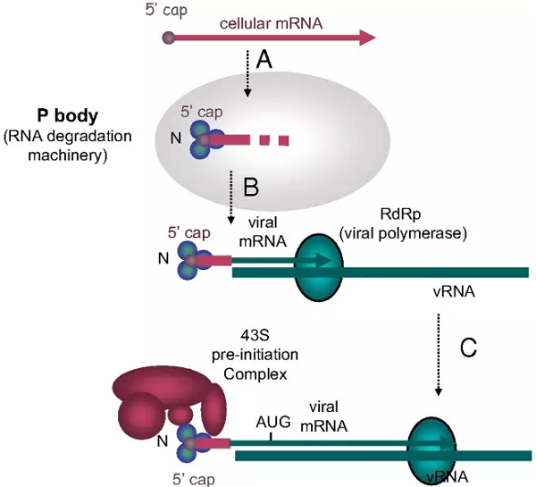 首页| 和记H88集团怡情博娱官网