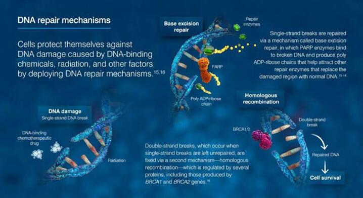 首页| 和记H88集团怡情博娱官网