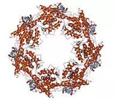 首页| 和记H88集团怡情博娱官网