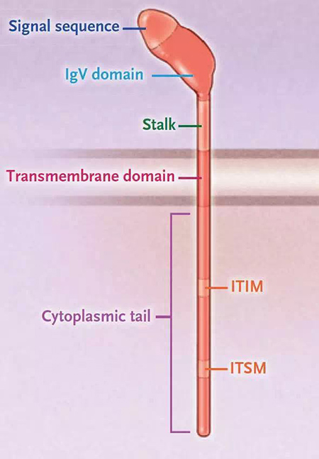 首页| 和记H88集团怡情博娱官网