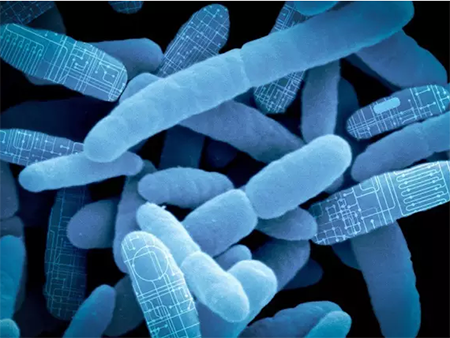 首页| 和记H88集团怡情博娱官网