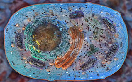 首页| 和记H88集团怡情博娱官网