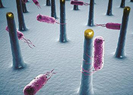 将来的药丸里，可能有一万亿幼我工刷新的细菌？