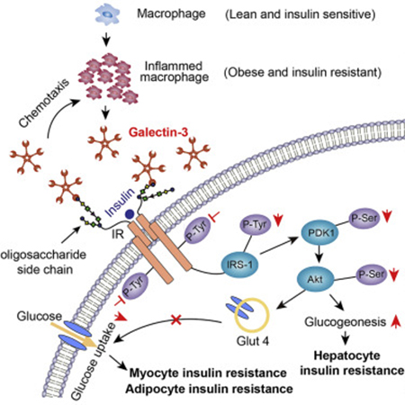 首页| 和记H88集团怡情博娱官网