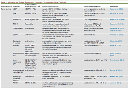 首页| 和记H88集团怡情博娱官网