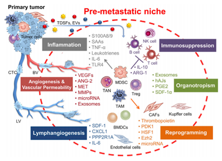 首页| 和记H88集团怡情博娱官网