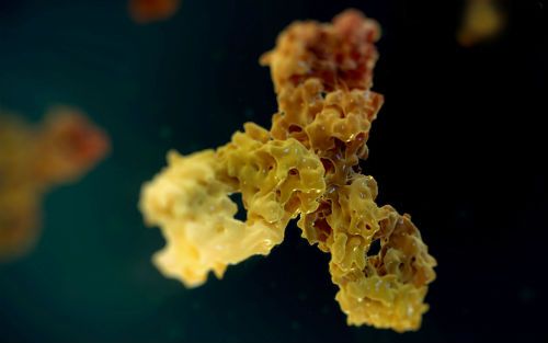 首页| 和记H88集团怡情博娱官网