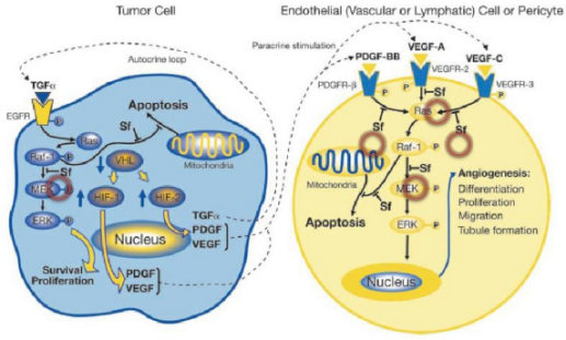 首页| 和记H88集团怡情博娱官网