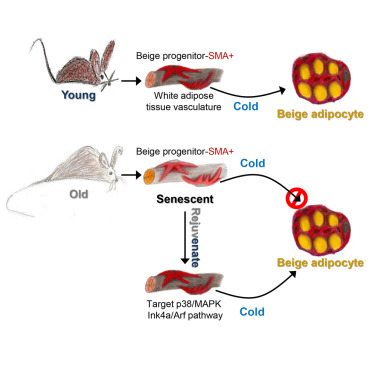 首页| 和记H88集团怡情博娱官网