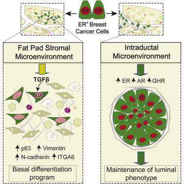 首页| 和记H88集团怡情博娱官网