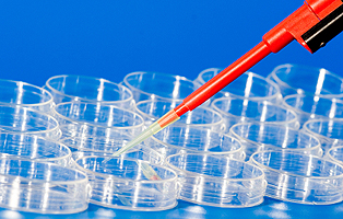 首页| 和记H88集团怡情博娱官网