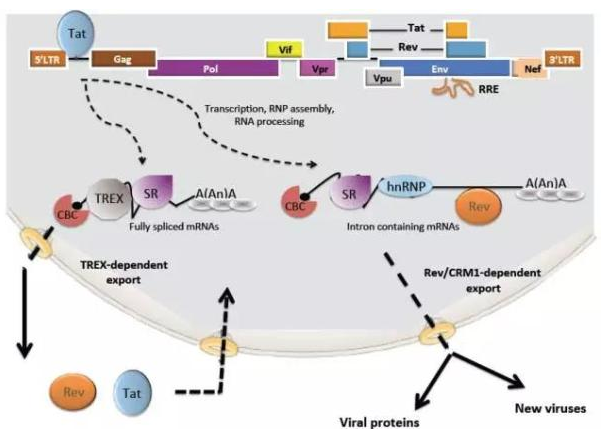 首页| 和记H88集团怡情博娱官网